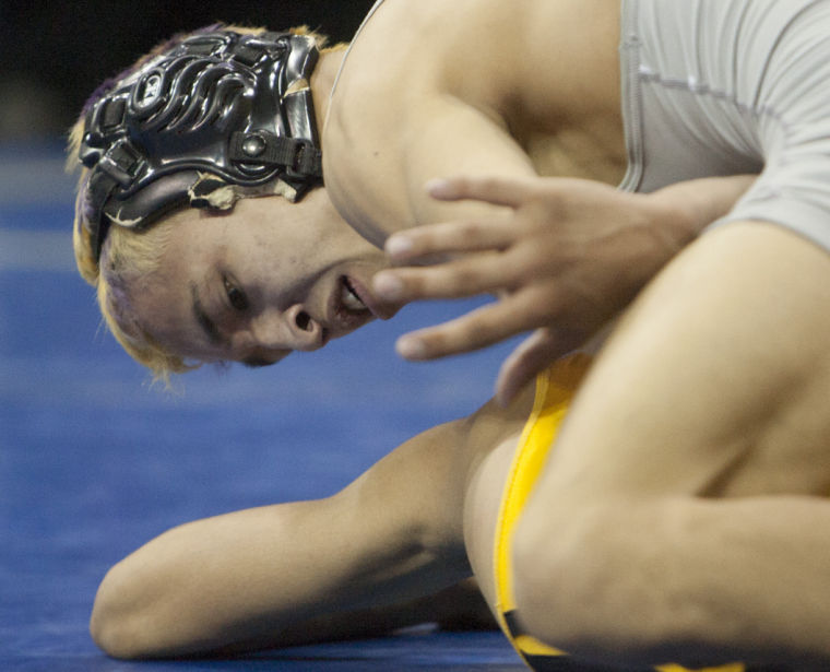 Wrestling: State Championships